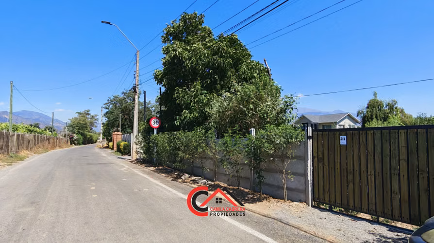 OLMUE VENTA PARCELA EN PRODUCCION