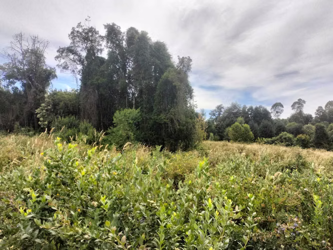 VENTA PARCELA LEFÚN PLAYA LINDA VILLARRICA (142367)