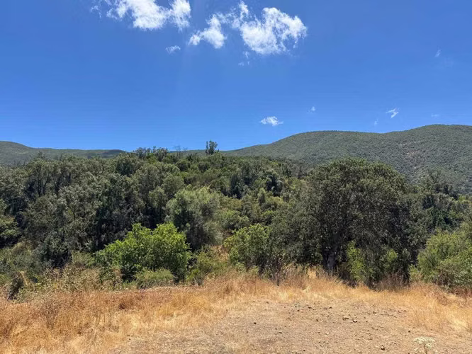 Parcela – Quebrada del Ají, Quillota (142629)