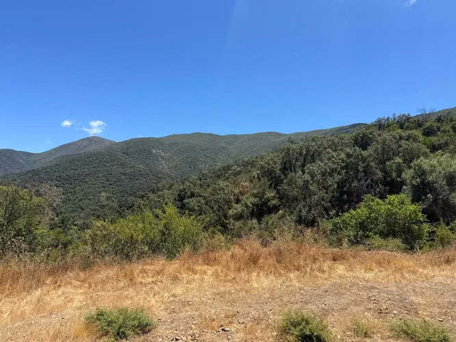 Parcela – Quebrada del Ají, Quillota (142629)