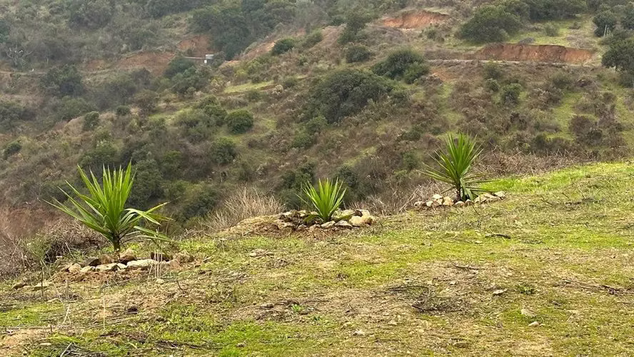 Parcela en Rucalhue – Quebrada del Ají (142630)