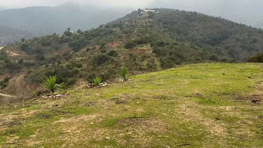 Parcela en Rucalhue – Quebrada del Ají (142630)