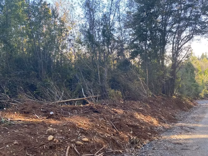 Parcelas de 11.000 m2 en Valdivia/Paillaco - Imagen 4