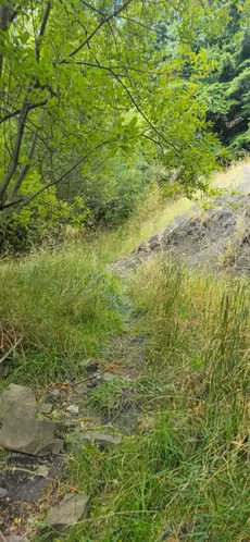 Se Vende Sitio de 8.600 Mt2, en Monreal  (142909) - Imagen 12