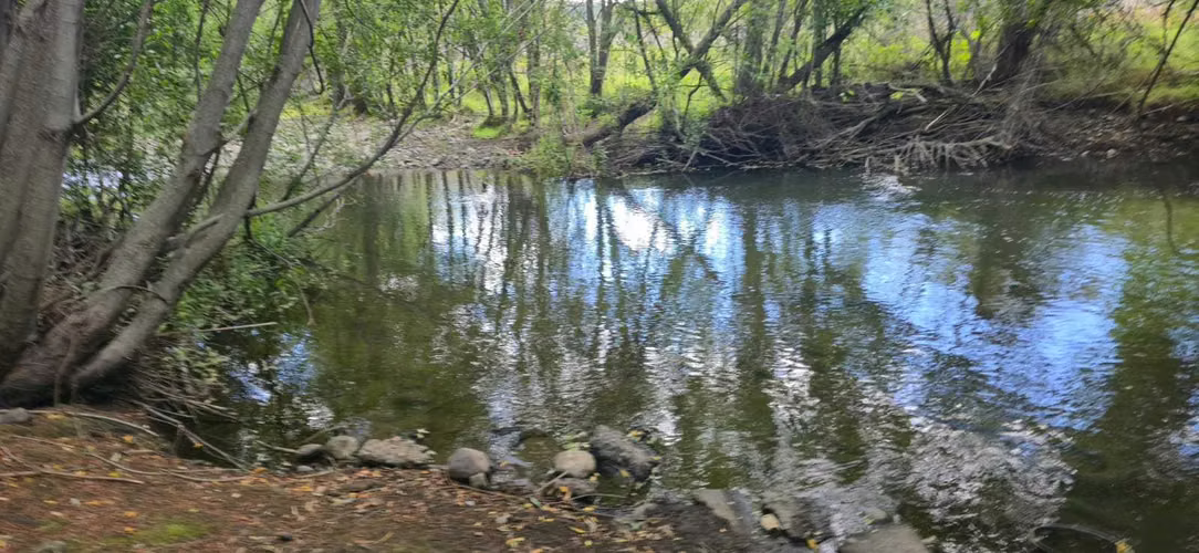 Se Vende Sitio de 8.600 Mt2, en Monreal  (142909) - Imagen 7