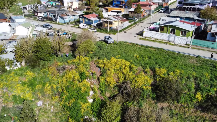 Se Vende Sitio de 8.600 Mt2, en Monreal  (142909) - Imagen 6