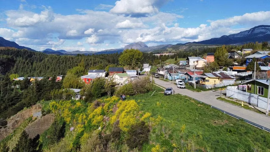Se Vende Sitio de 8.600 Mt2, en Monreal  (142909) - Imagen 5