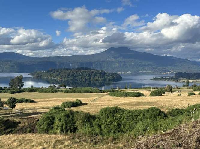 Agrícola LAGO RUPANCO SECTOR EL CABRITO - Imagen 7