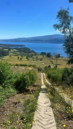 Agrícola LAGO RUPANCO SECTOR EL CABRITO - Imagen 12