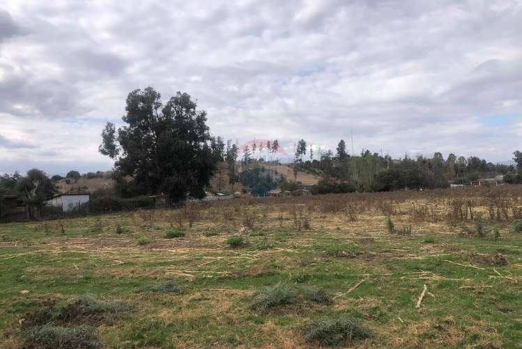 Terreno inversión en maría pinto - Imagen 4