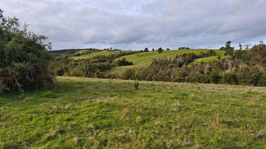 Campo 3 há subdividido en 6 lotes de 5000 m2 (143214)