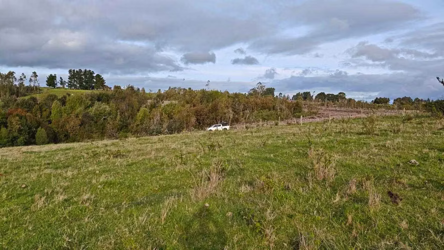Campo 3 há subdividido en 6 lotes de 5000 m2 (143214)