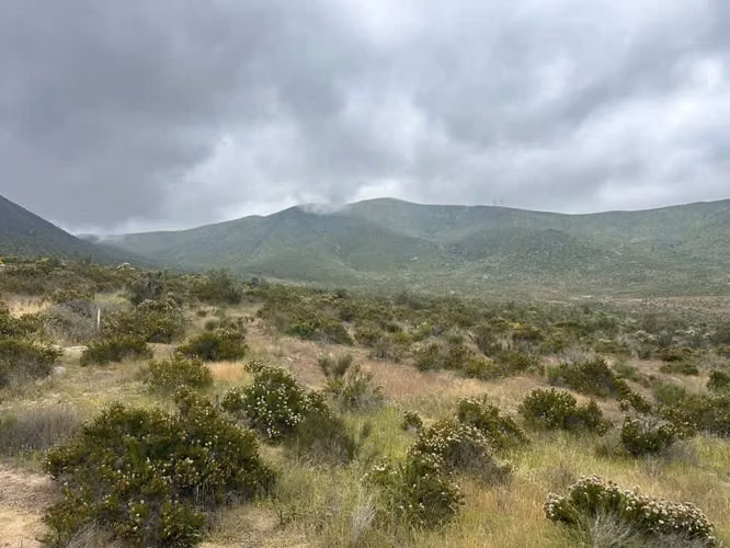 Terreno 5.000 m² en Venta - A Patita, Coquimbo