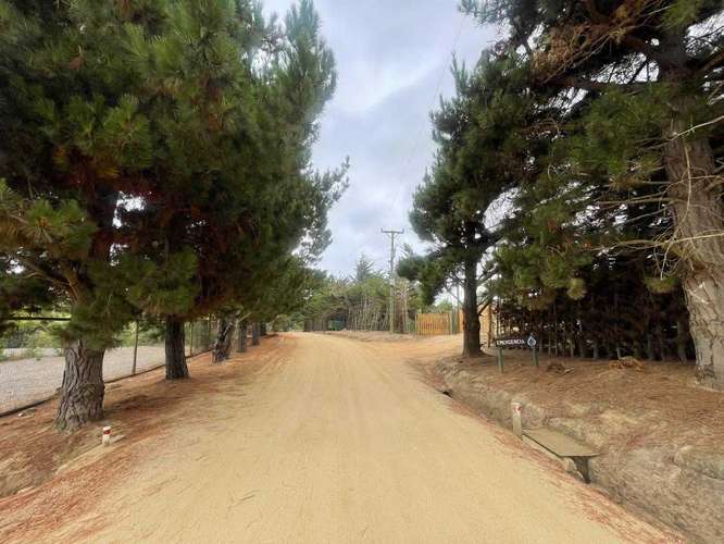 TUNQUÉN, CONDOMINIO CAMPOMAR (143433) - Imagen 22