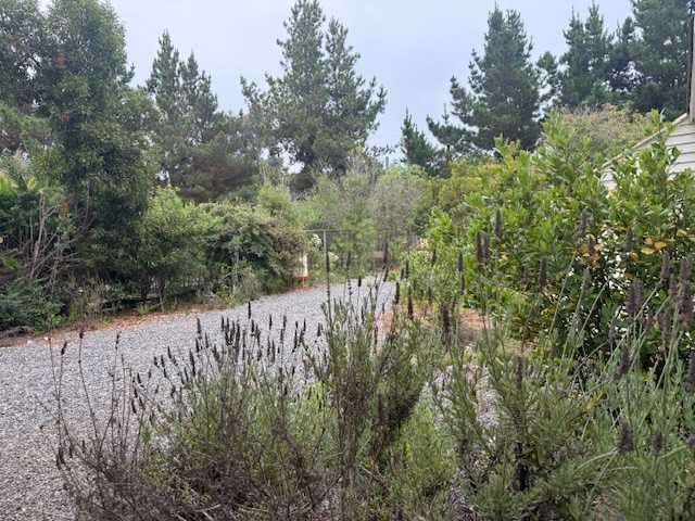 TUNQUÉN, CONDOMINIO CAMPOMAR (143433) - Imagen 26