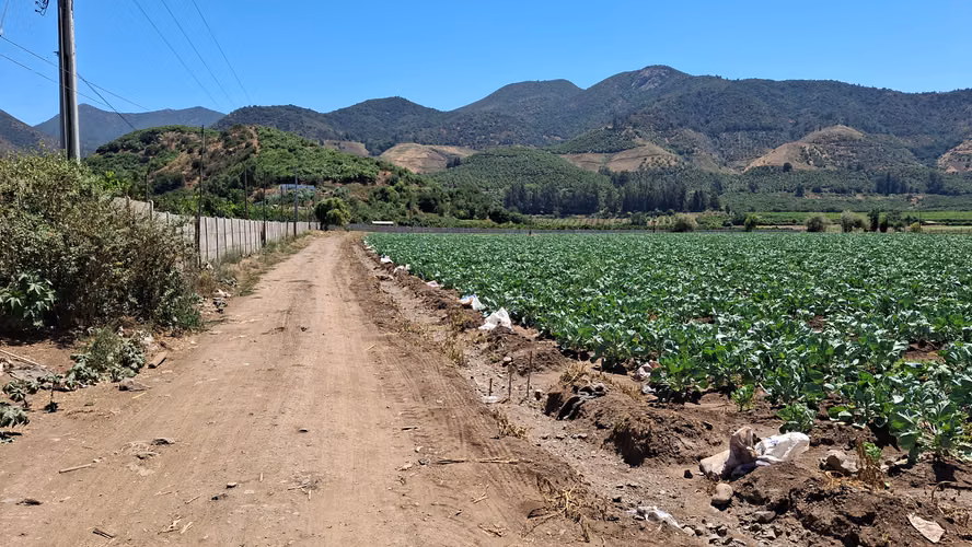 Parcelas Romeral