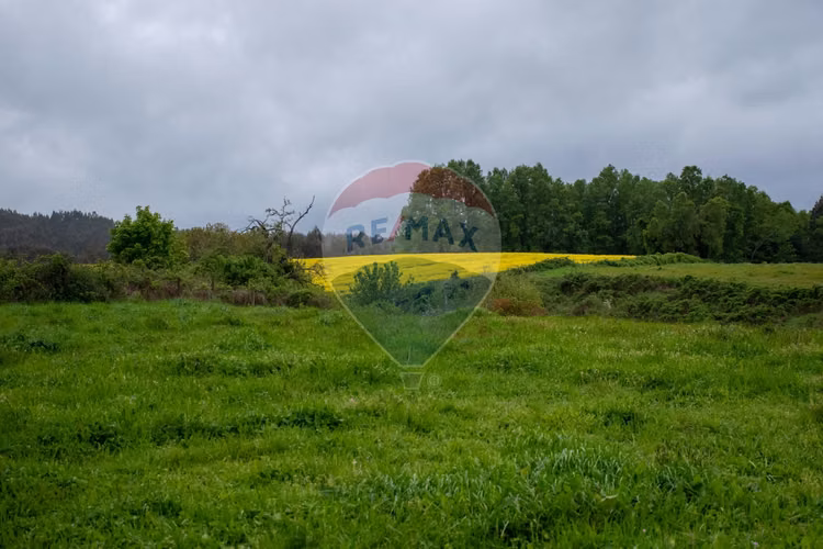 Proyecto de parcelas centinela 1 la unión