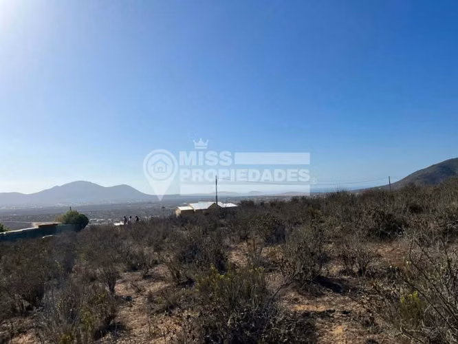 VENDE TERRENO AGRÍCOLA - COQUIMBO