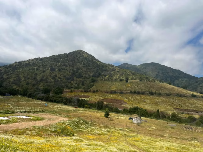 Parcelas En Venta Reserva Pimpinela