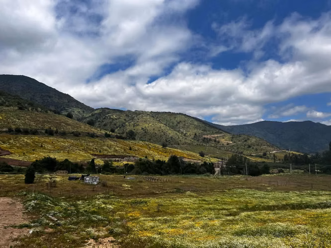 Parcelas En Venta Reserva Pimpinela