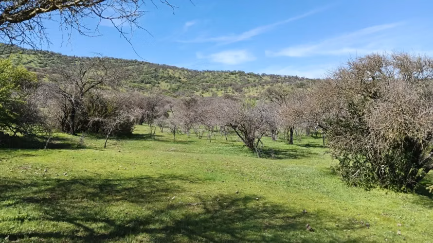 Parcelas En Venta Lago Rapel