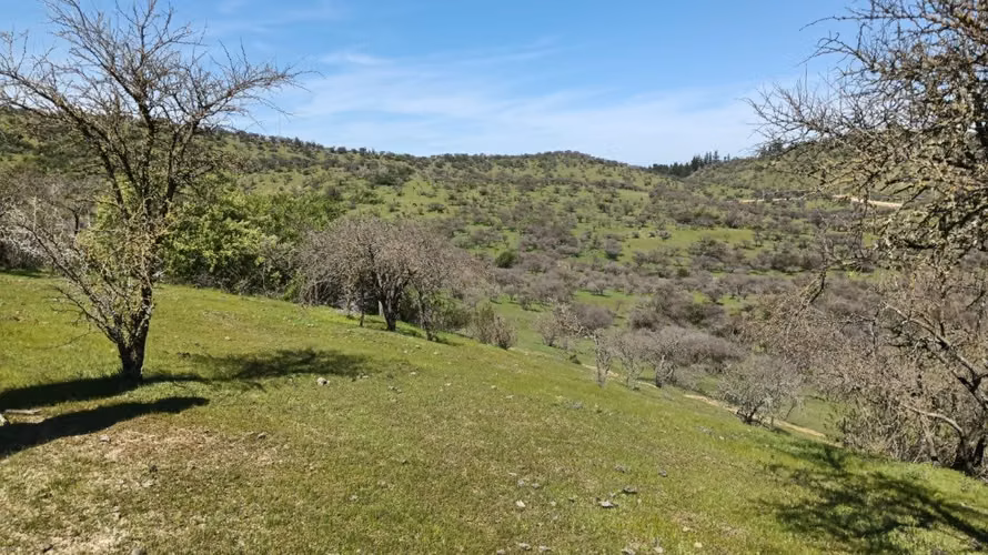 Parcelas En Venta Lago Rapel