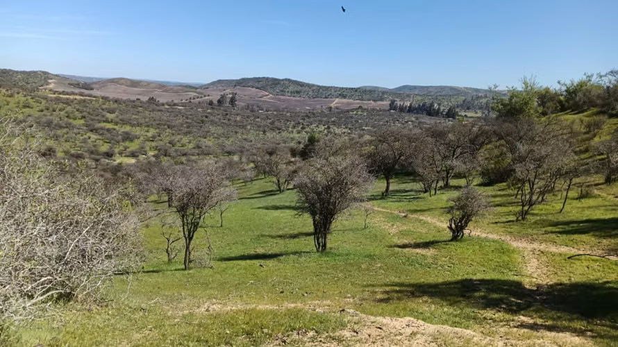 Parcelas En Venta Lago Rapel