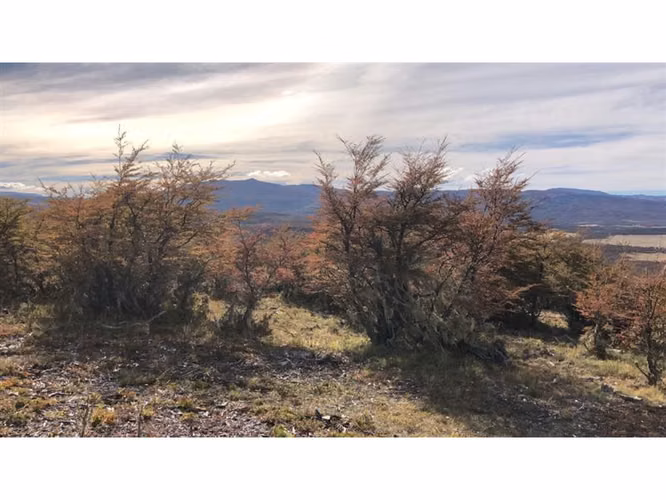 Parcela En Venta En Balmaceda Lote #143