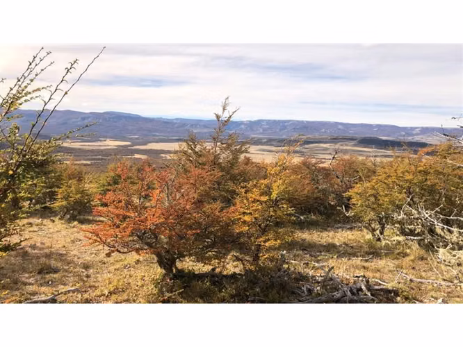 Parcela En Venta En Balmaceda Lote #143