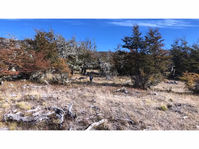 Parcela En Venta En Balmaceda Lote #143