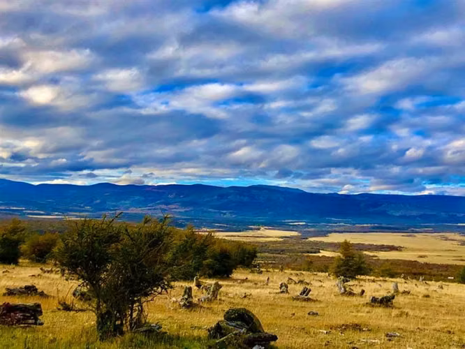 Parcela En Venta En Balmaceda Lote #143
