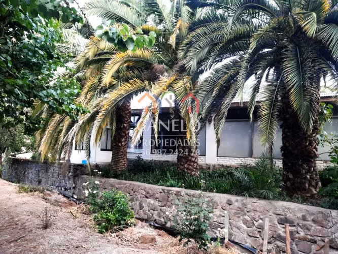 SE VENDE CAMPO PRODUCTIVO EN CHEPICA-CONVENTO VIEJO, CURICO.