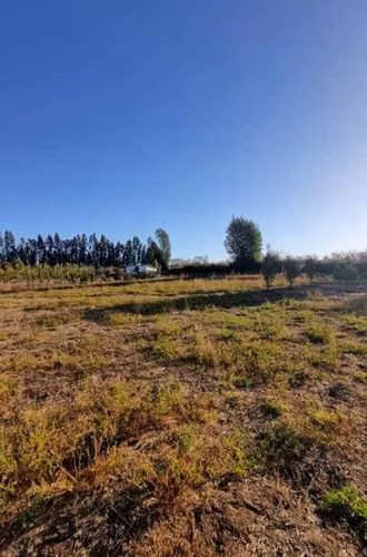 Romeral, El Guaico, Curicó