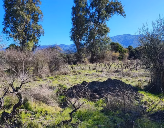 Venta de terreno en San Javier (sector carrizal)