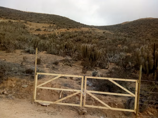 Terreno de 5200 m2 sector Altovalsol. Fundo Loreto.