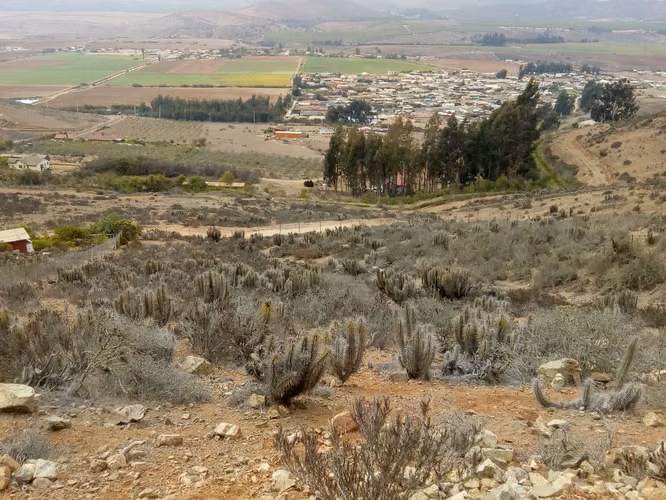 Terreno de 5200 m2 sector Altovalsol. Fundo Loreto.