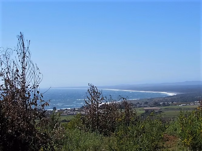 Pelluhue vista despejada al mar 5.000m2 (144095)