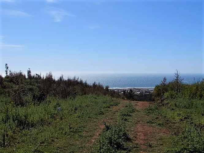 Pelluhue vista despejada al mar 5.000m2 (144095)