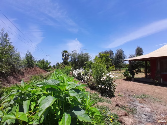 Parcela 6800m², con casa, 3 dorm. 1 baño