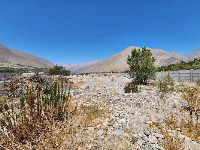 Amplia Parcela con linda vista y rio, Vicuña (144354)