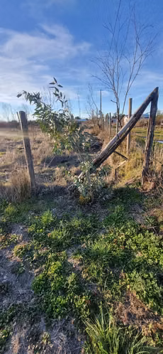 Parcela De 5283m2, Toda Cerrada, Plana, Buen Ingreso