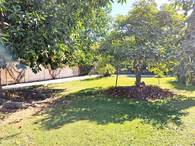 Se Vende Gran Terreno con Casa, Comuna de La Cruz