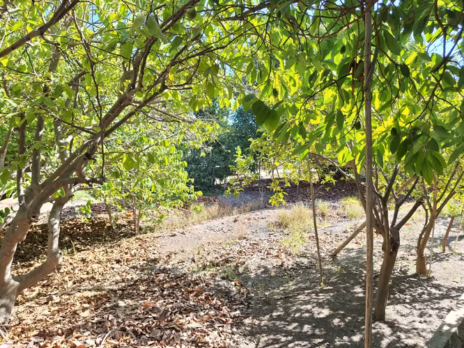 Se Vende Gran Terreno con Casa, Comuna de La Cruz
