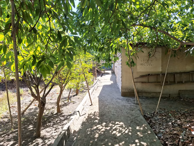 Se Vende Gran Terreno con Casa, Comuna de La Cruz