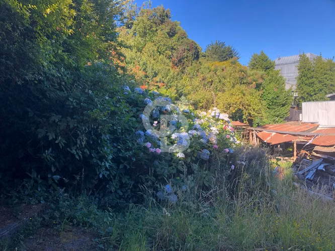 Gran terreno en el centro de Puerto Varas