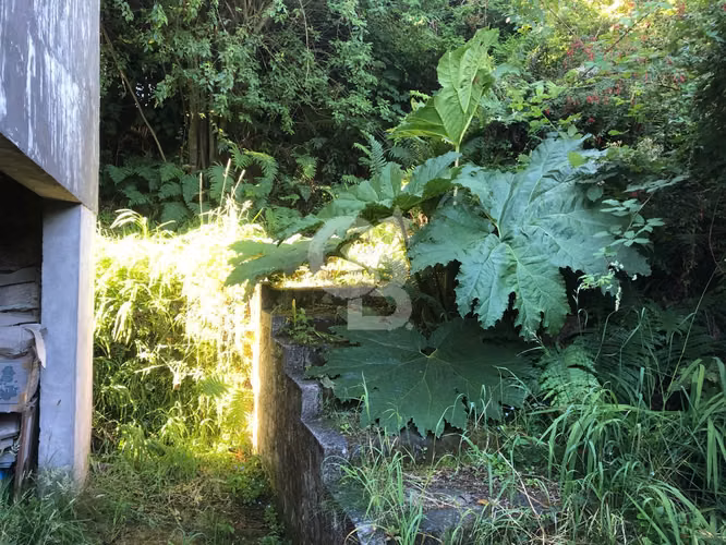 Gran terreno en el centro de Puerto Varas