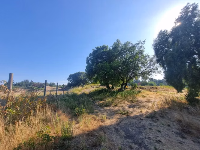 Vende parcela de 1,4 há en Negrete.