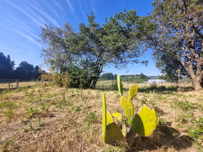 Vende parcela de 1,4 há en Negrete.