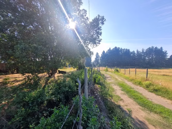 Vende parcela de 1,4 há en Negrete.