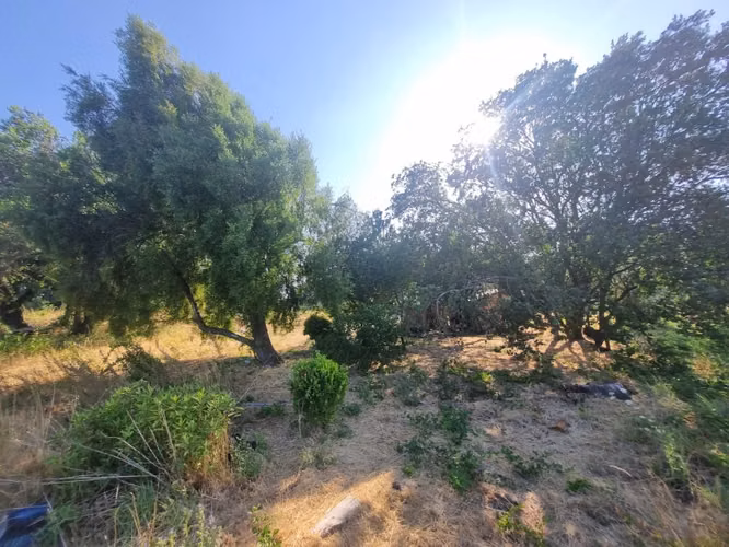 Vende parcela de 1,4 há en Negrete.